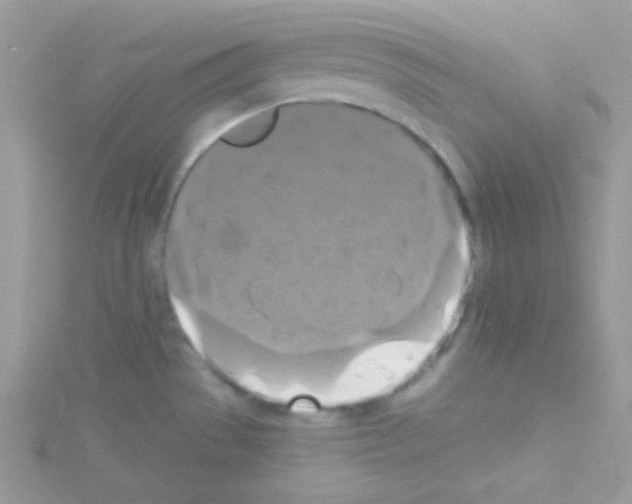 X0000114391529200911271449