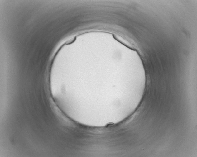 X0000114391530200911271449