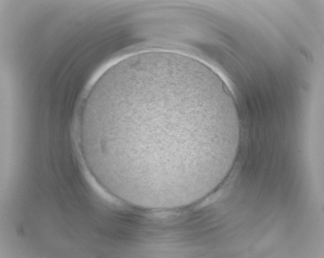 X0000114391531200911271449