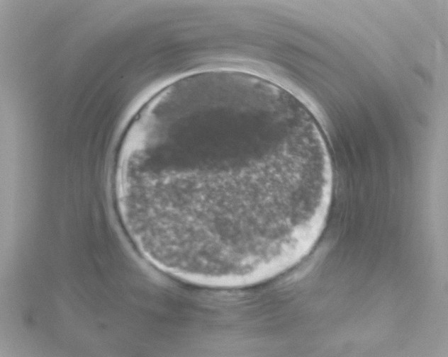 X0000114391533200911271449