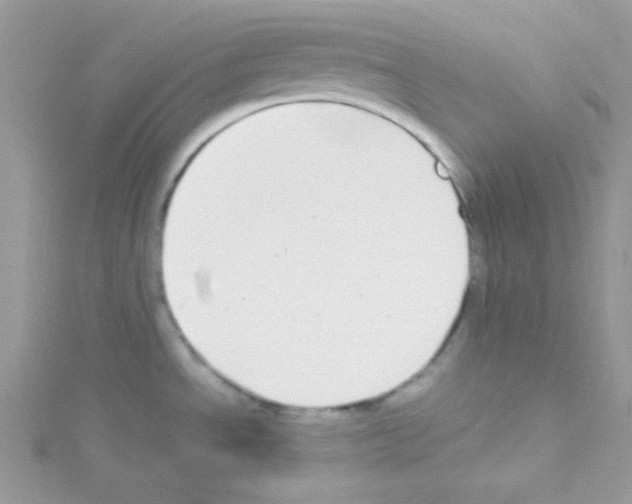 X0000114391534200911271449