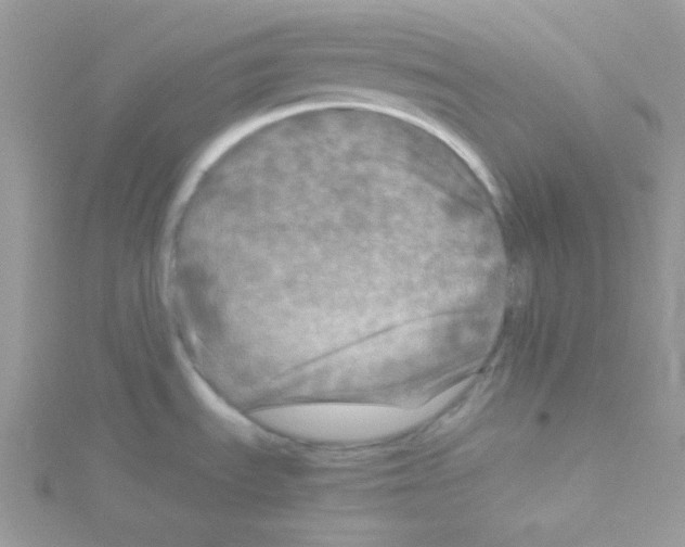 X0000114391535200911271449