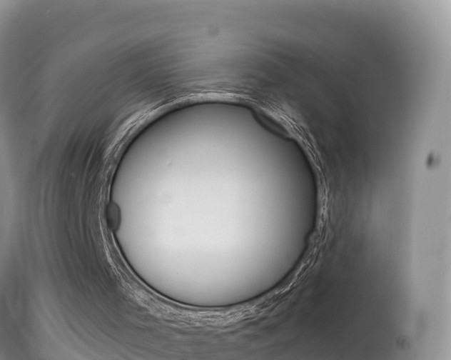 X0000114400001200910161107