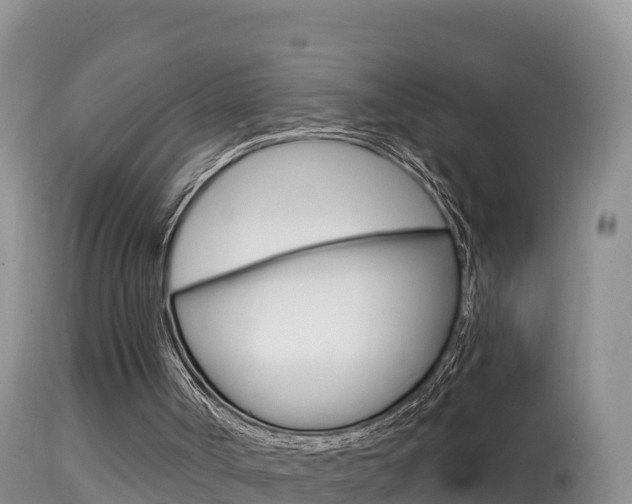 X0000114400002200910161107