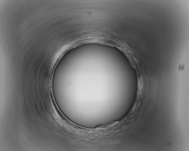 X0000114400003200910161107