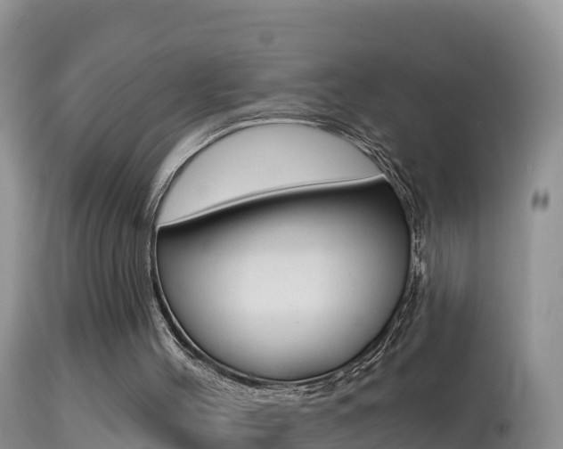 X0000114400004200910161107