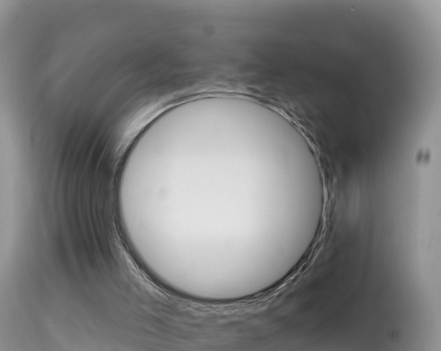 X0000114400005200910161107