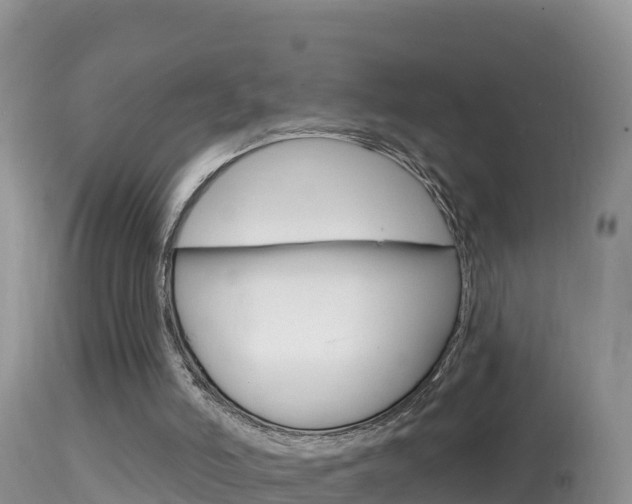 X0000114400006200910161107