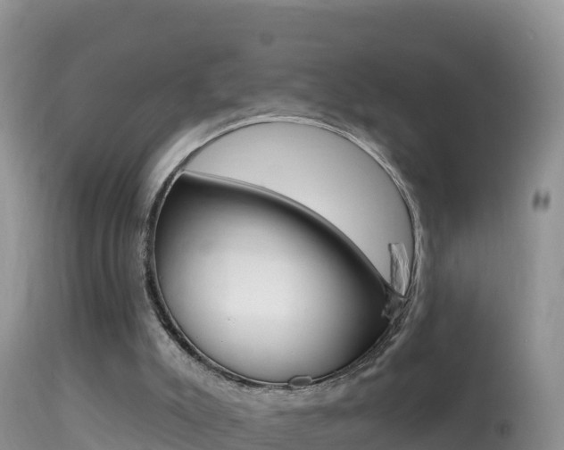 X0000114400007200910161107