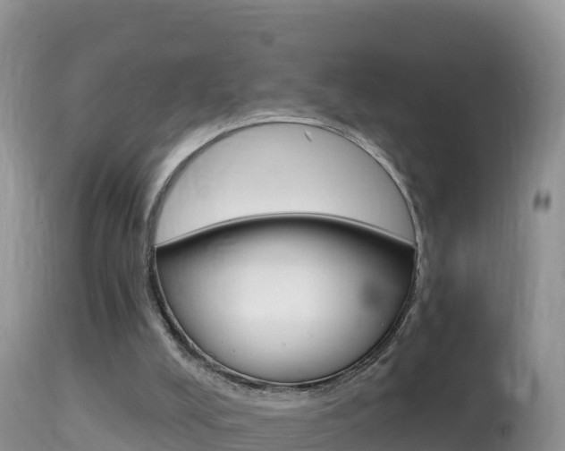 X0000114400008200910161107