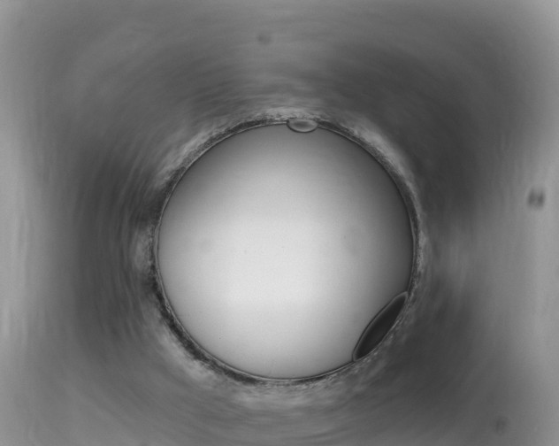 X0000114400009200910161107