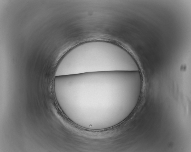 X0000114400010200910161107