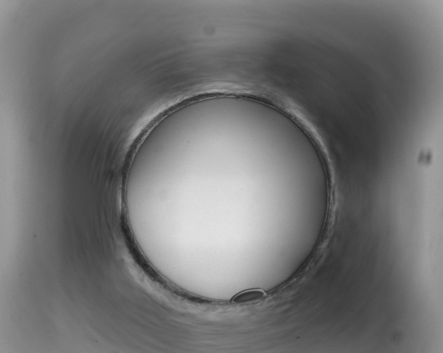 X0000114400011200910161107