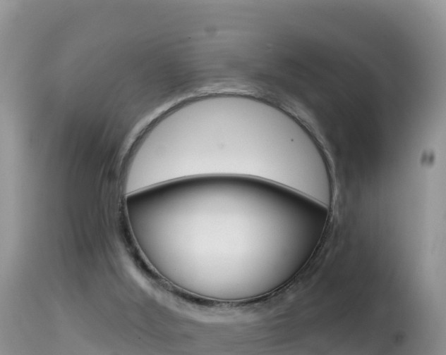 X0000114400012200910161107