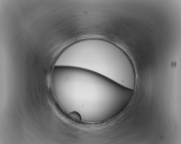 X0000114400013200910161107