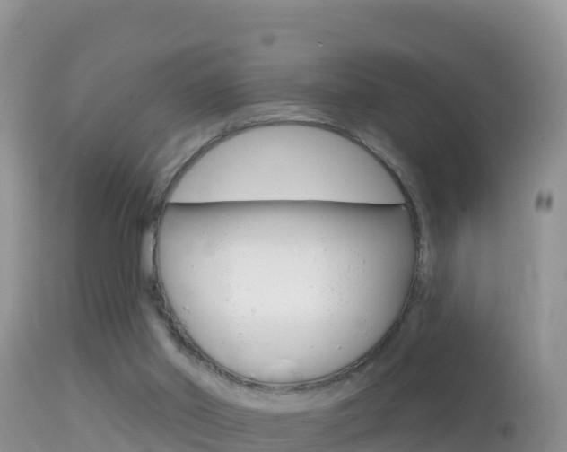 X0000114400014200910161107