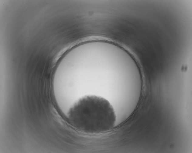 X0000114400015200910161107