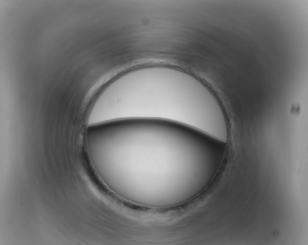 X0000114400016200910161107