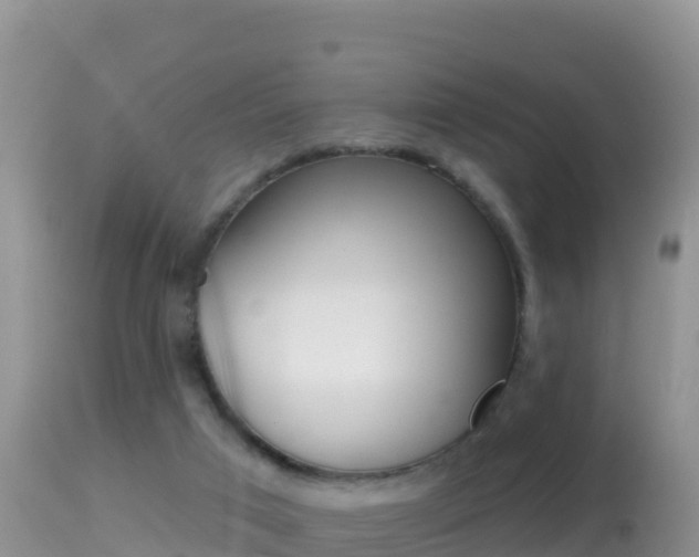 X0000114400017200910161107