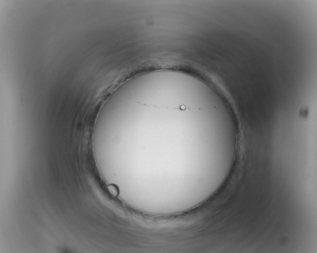 X0000114400018200910161107