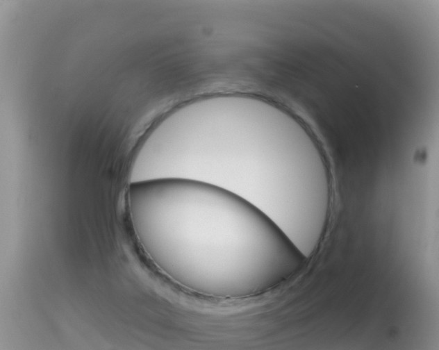 X0000114400019200910161107