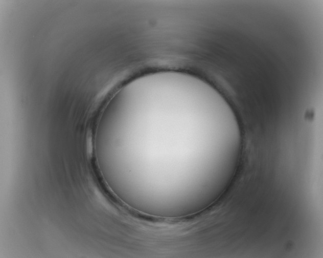 X0000114400020200910161107