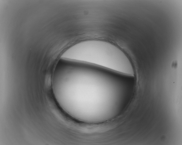 X0000114400021200910161107