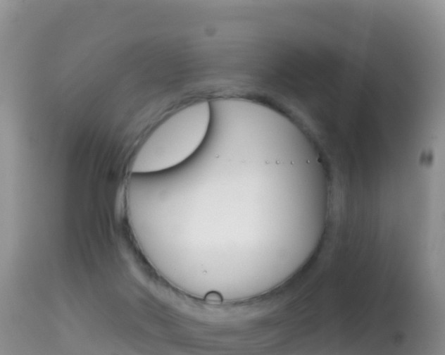 X0000114400022200910161107