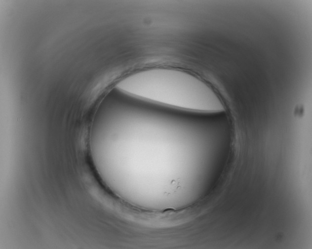 X0000114400023200910161107