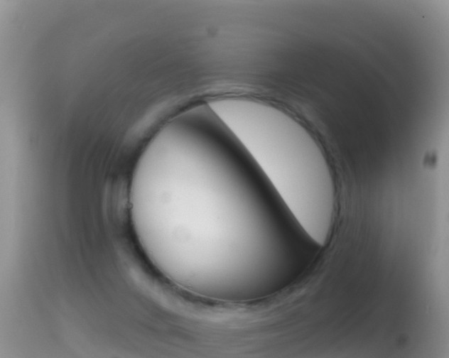 X0000114400024200910161107