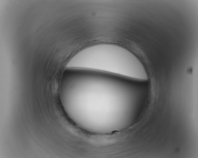 X0000114400025200910161107