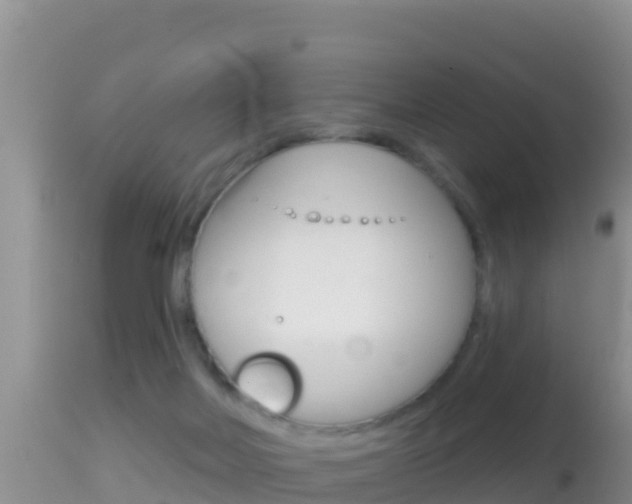 X0000114400026200910161107