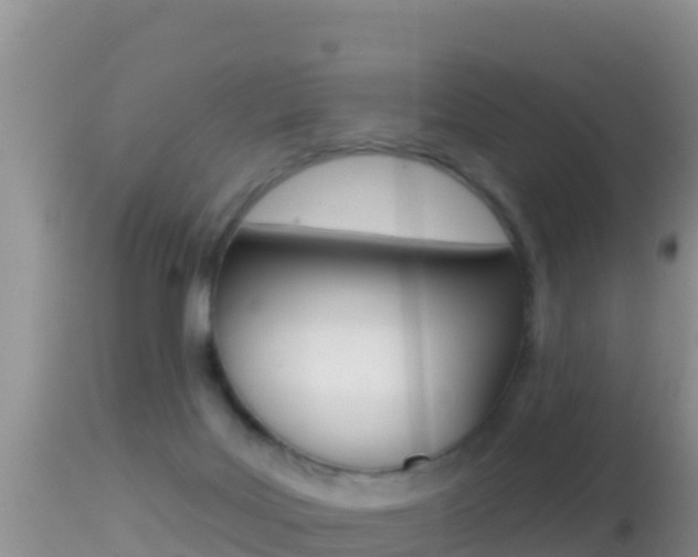 X0000114400027200910161107