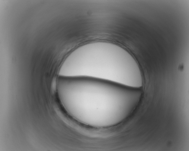 X0000114400028200910161107