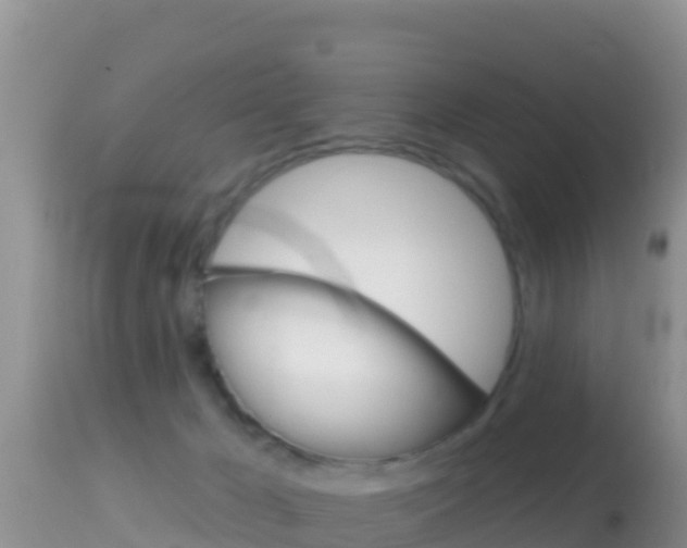 X0000114400029200910161107