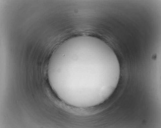 X0000114400030200910161107