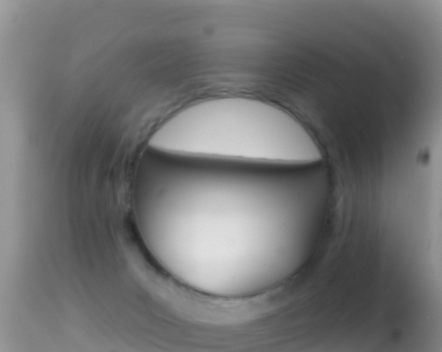 X0000114400031200910161107