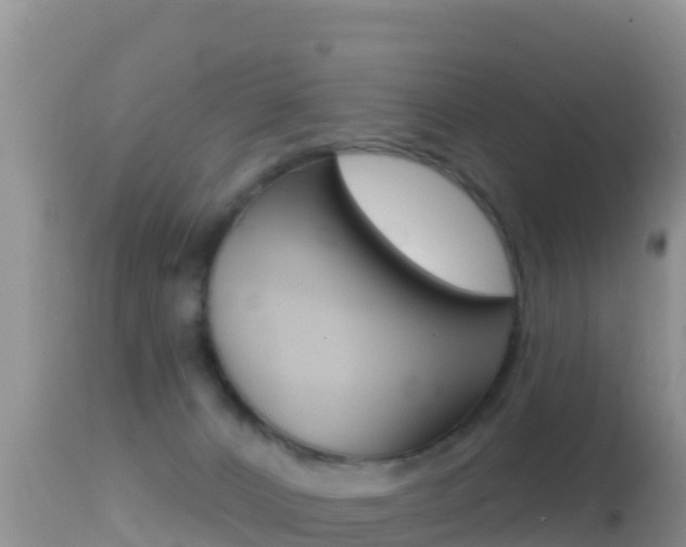 X0000114400032200910161107