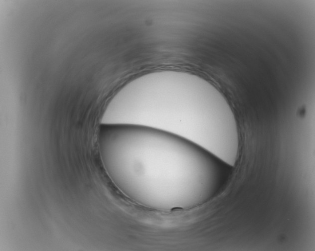 X0000114400033200910161107