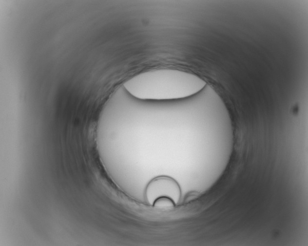 X0000114400034200910161107