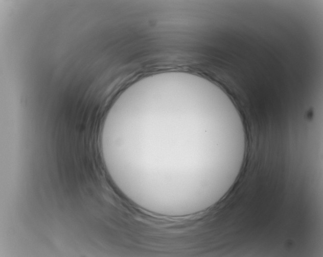 X0000114400035200910161107