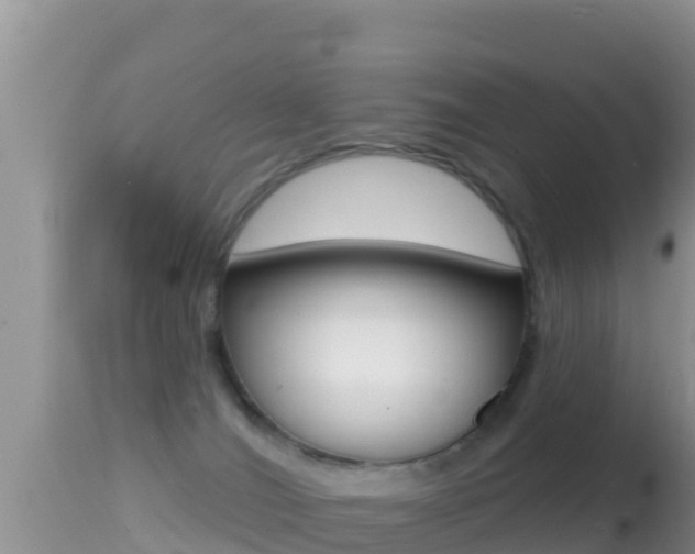 X0000114400036200910161107