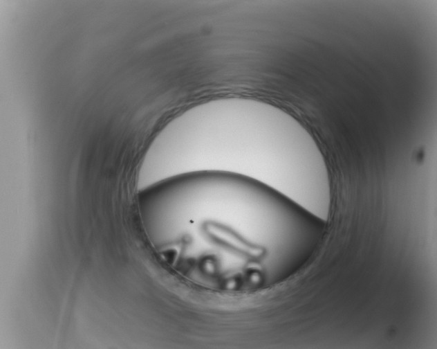 X0000114400037200910161107