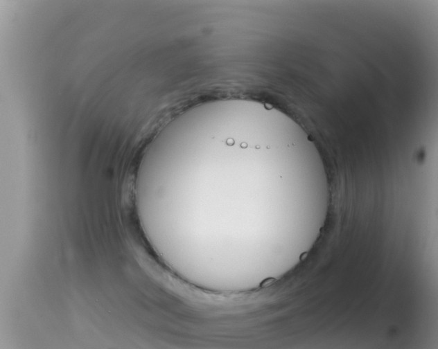 X0000114400038200910161107