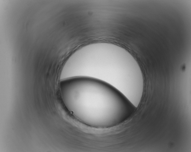 X0000114400039200910161107