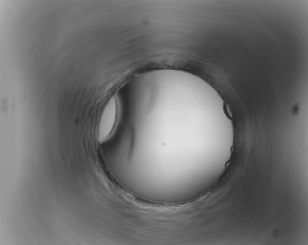 X0000114400040200910161107