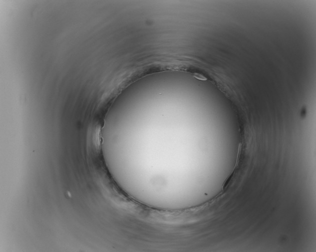 X0000114400041200910161107