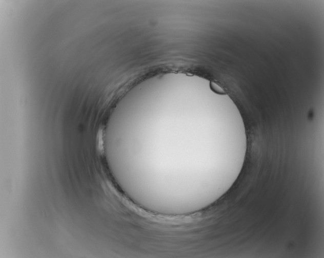 X0000114400042200910161107