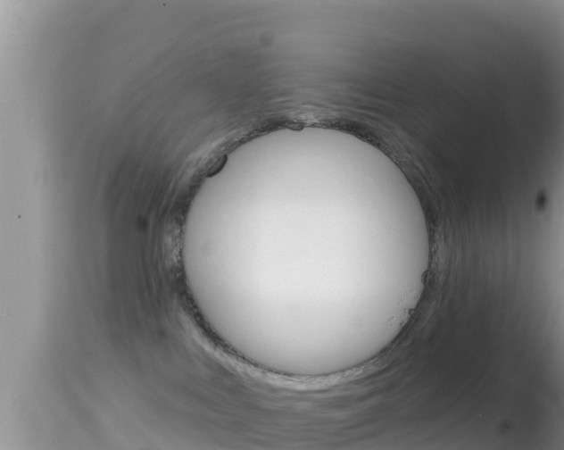 X0000114400043200910161107