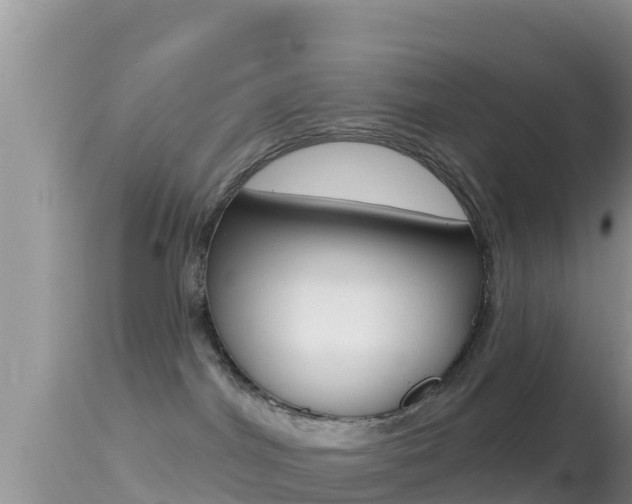 X0000114400044200910161107